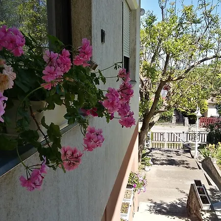 Πανσιόν Rethati Vendeghaz